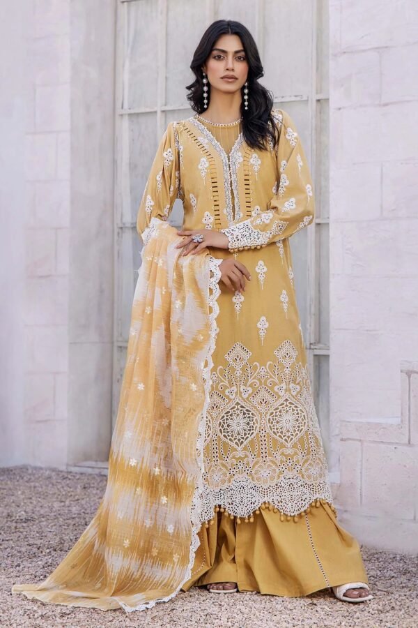 LASSERKARI BY ADAN'S LIBAS | LUXURY CHIKANKARI