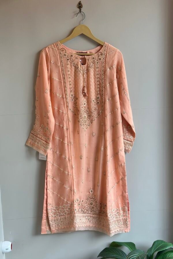 Pakistani Chiffon Party Wear