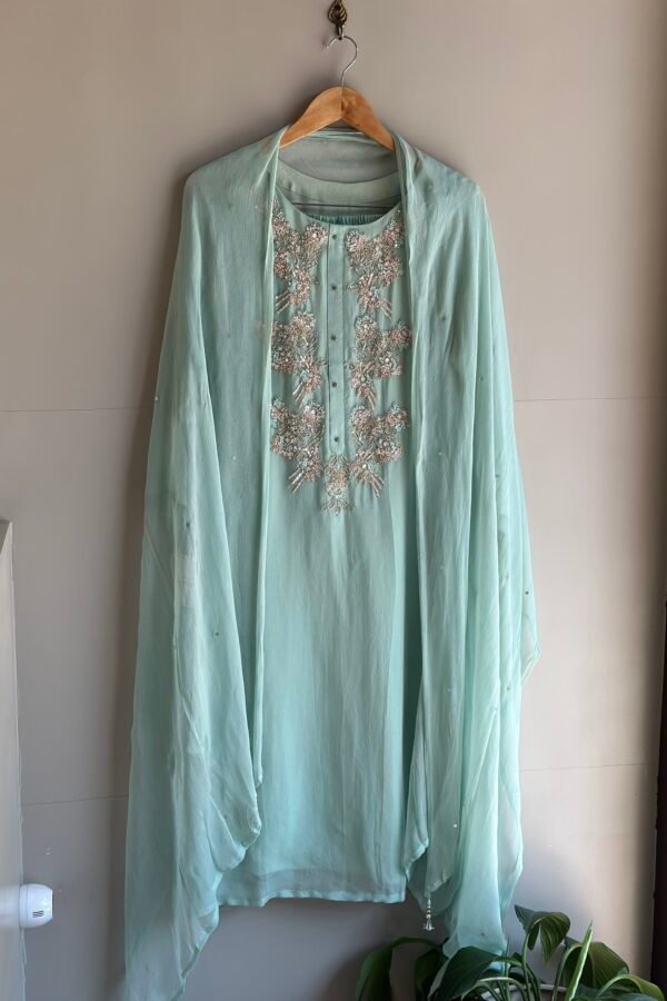 Soft Organza Indian Party Wear