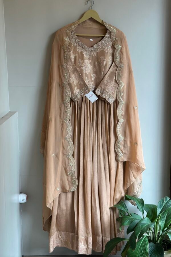 INDIAN PARTY WEAR 2PC