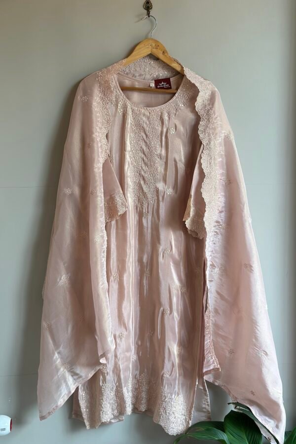Tissue Silk Indian Partywear 3Pc