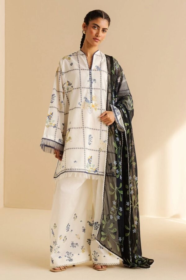COCO Lawn