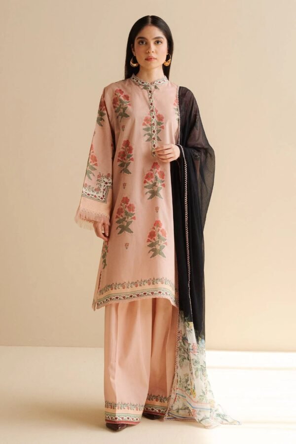 COCO Lawn