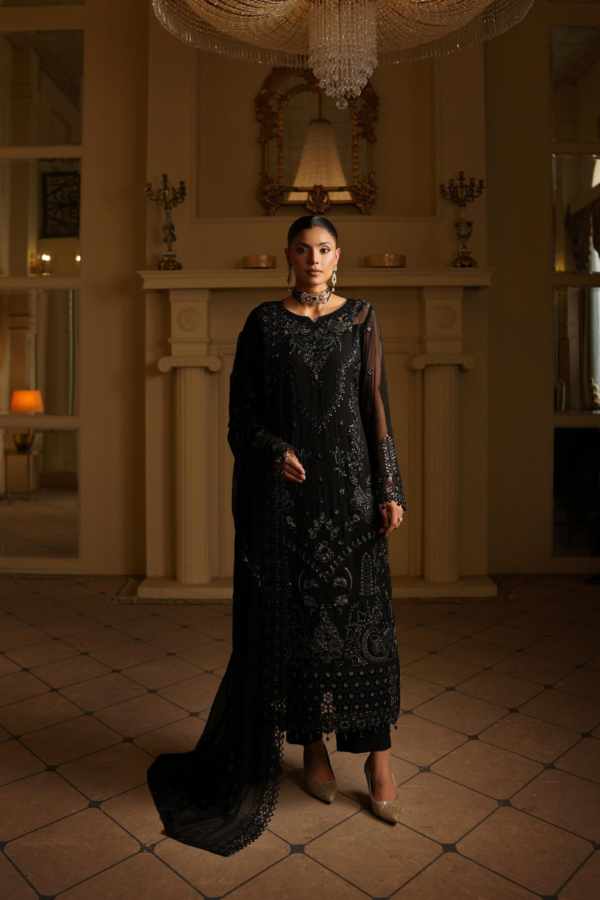 Pakistani Party Wear Material