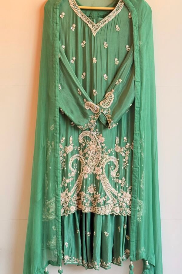 Indian Premium partywear