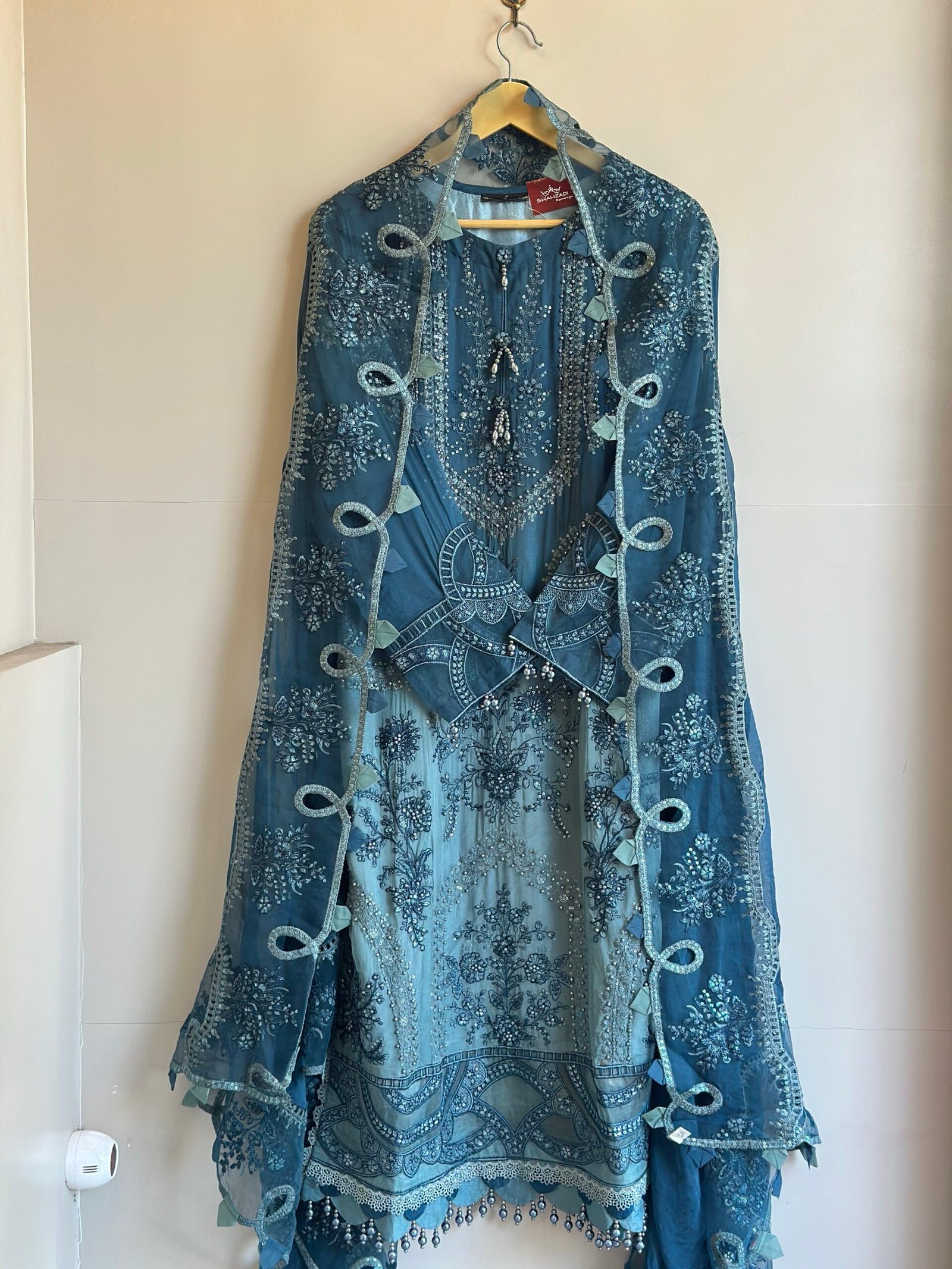 img_4216 Pakistani Party Wear