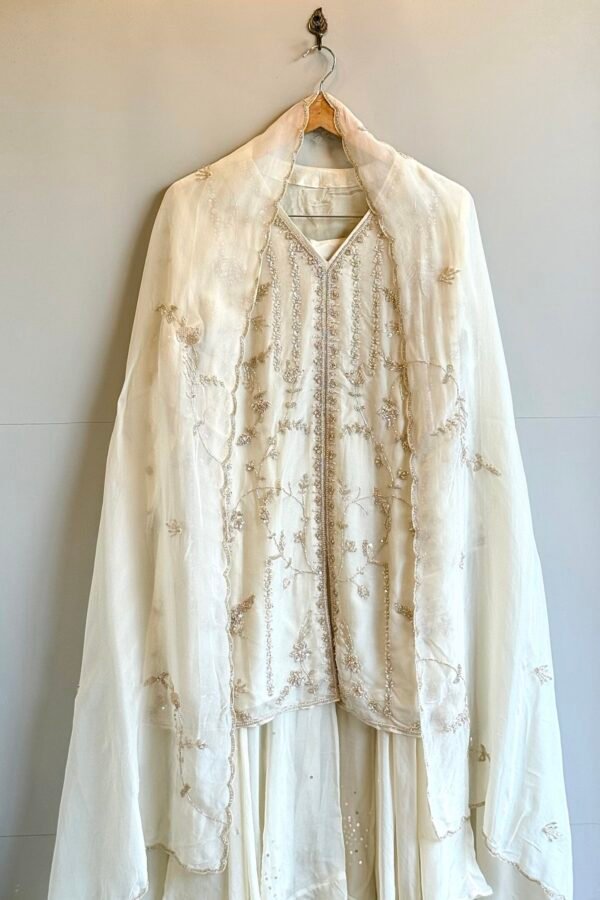 Indian Premium Partywear